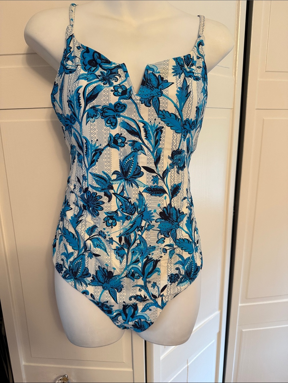 Red Carter Blue and White Floral One-Piece Swimsuit